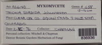 Image Associated With the Occurence